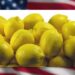 limones argentinos exportación a los EE.UU.